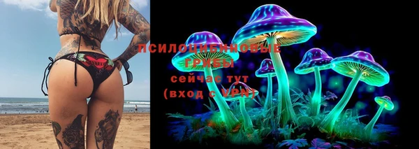 индика Абдулино