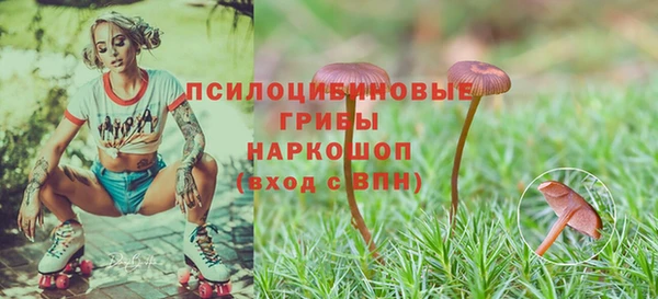 индика Абдулино