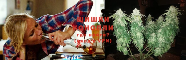 индика Абдулино